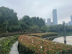 -天鹅湖体育公园