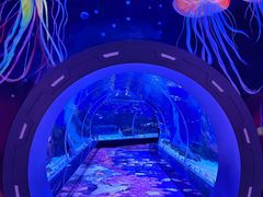-顺德南宏海立方海洋公园