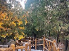 -白水寺森林公园