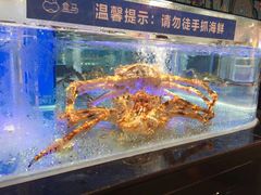 -盒马鲜生(悠方店)