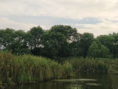 -西湖风景区-江洋畈生态公园