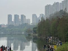 -重庆彩云湖湿地公园