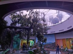 -陕西自然博物馆