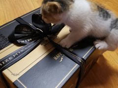 -美滋每客(亲贤北街店)