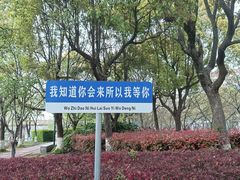 -高东镇樱花园