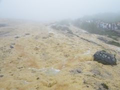 -黄龙山原始森林景区