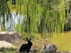 -北京西山国家森林公园