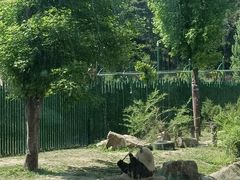 -沈阳森林动物园