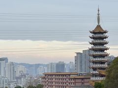 -仙岳公园