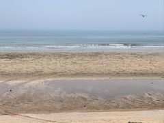 -日照海滨国家森林公园