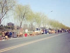-东台西溪天仙缘景区