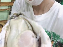 -大富蚝乌东哥饭店·石锅鱼杂·柠檬鸭(革新路店)