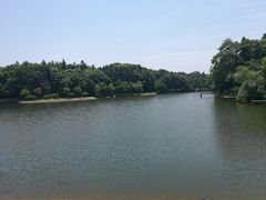 -象山森林公园