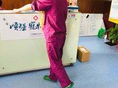 -顺强宠物诊所·狂犬免疫·夜诊·骨科(嘉定店)