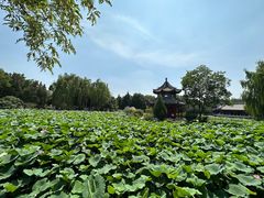 -莲池书院博物馆
