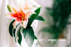 -女王风尚STUDIO·轻奢化定制