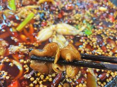 -烧哥美蛙肥肠鱼火锅·十五年社区店