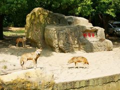 -常州淹城野生动物世界