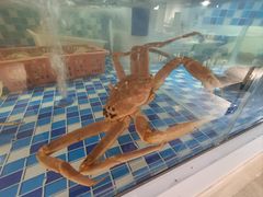 -碗中海·蒸汽海鲜·桑拿鸡(岭南天地店)