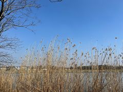 -梁鸿国家湿地公园