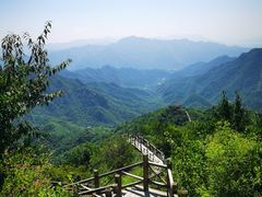 -大岭沟猕猴桃谷风景区