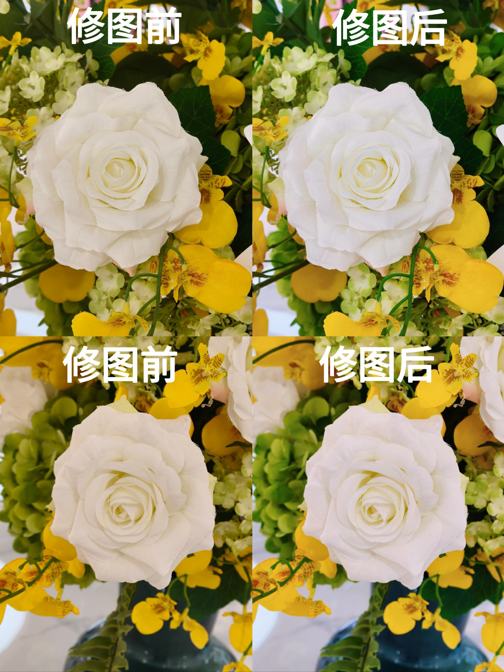 摄影师拍摄花花视频教程,技巧大全 摄影师拍摄花花视频教程,技巧大全