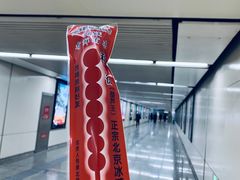 -和禄德冰糖葫芦