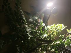 -陶享时光西餐·下午茶(信河街店)