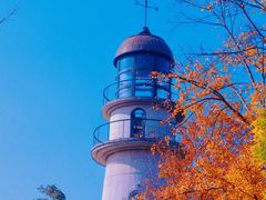 -金海湾滨江公园