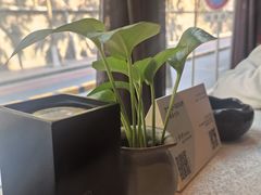 -汤家茗苑·精致私房菜(白沙店)