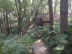 -蜀冈西峰生态公园