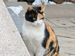 -天津妈祖文化园