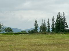 -良渚古城遗址公园