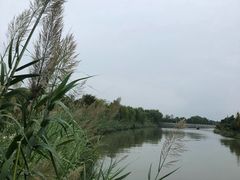 -同里国家湿地公园