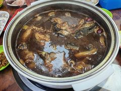 甲鱼锅-甲鱼火锅(北村小区店)