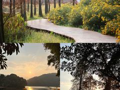 -广州市石门国家森林公园