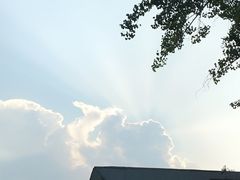 -童程童美少儿编程乐高机器人(世纪都会校区)