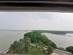 -大湾区中央湿地公园