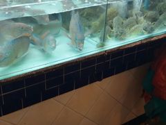 -班赞海鲜市场