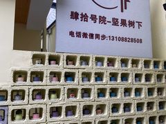 -瑞丽活螃蟹(芒市店)