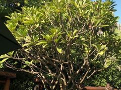 -厦门日月谷温泉渡假村