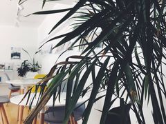 -隹木咖啡馆(宝龙广场店)