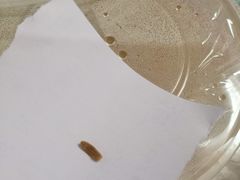 -螺大蛳柳州螺蛳粉·火锅·热干面(西城永捷店)