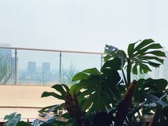 -Seesaw Coffee(朝阳大悦城店)