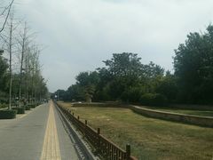 -万达广场(大明宫店)
