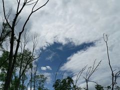 -白鹭湾湿地公园