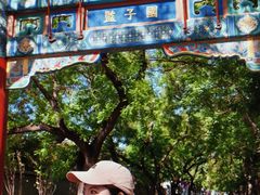 -北京国子监胡同