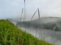 -空中草原