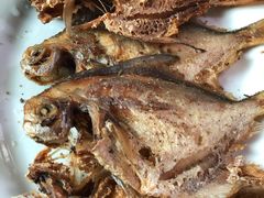 -南汇老顾农家乐采摘大团水蜜桃采摘店