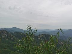 -大岭沟猕猴桃谷风景区